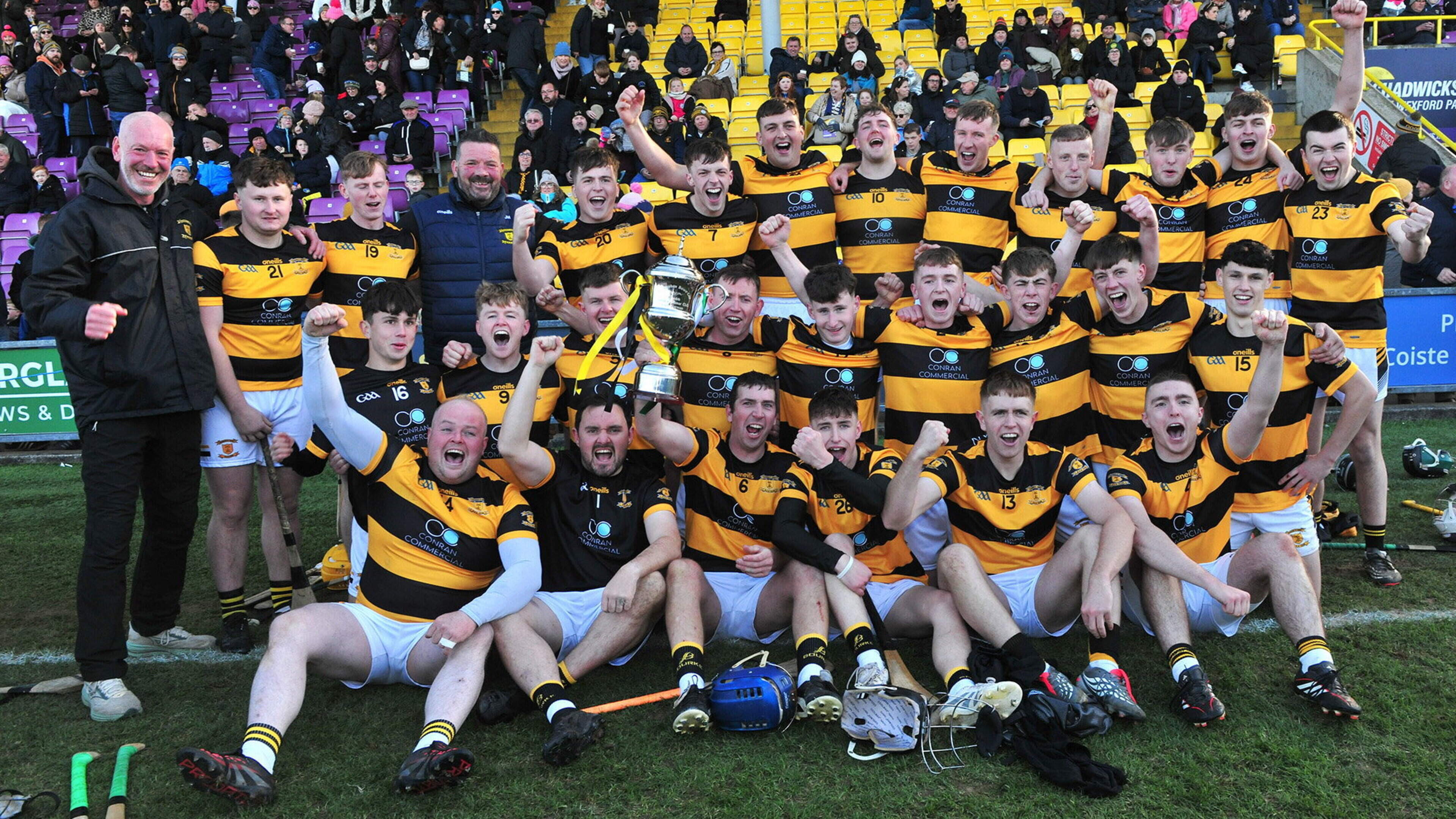 Rathnure bounce back from last year’s disappointment to overcome Naomh Éanna in Junior hurling championship final